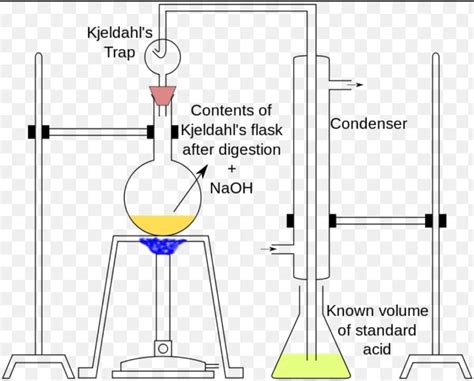 total kjeldahl nitrogen|(PDF) An Overview of the Kjeldahl Method of Nitrogen .